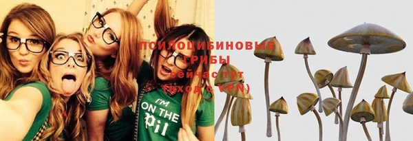 твердый Лиски